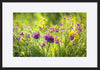 paper_frame