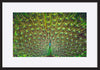 paper_frame