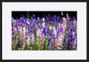 paper_frame