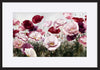 paper_frame