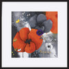 paper_frame