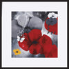 paper_frame