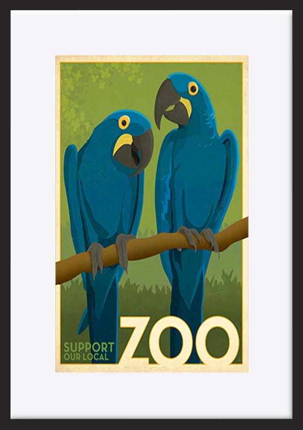 AL JOEAND116848 Zoo vintage cockatoo birds - ArtFramed