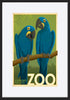 AL JOEAND116848 Zoo vintage cockatoo birds - ArtFramed