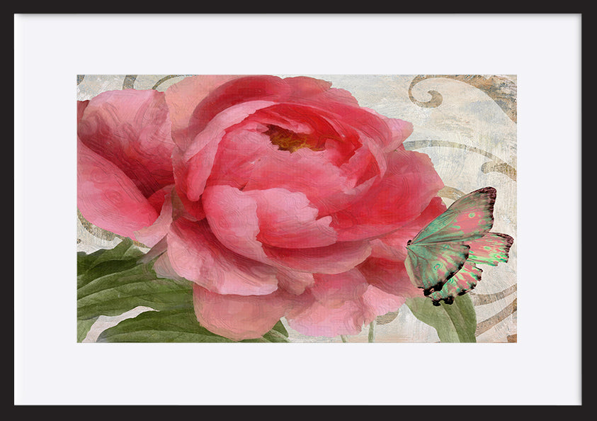 paper_frame