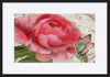 paper_frame