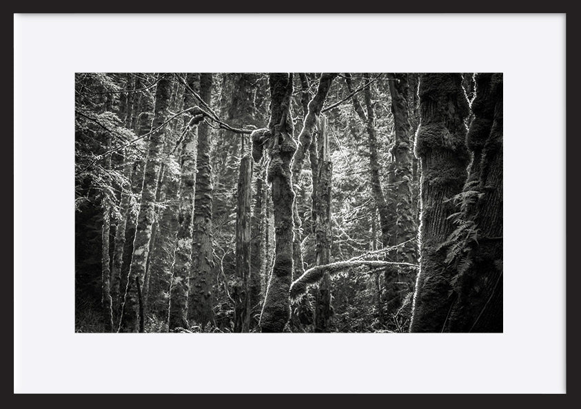 paper_frame