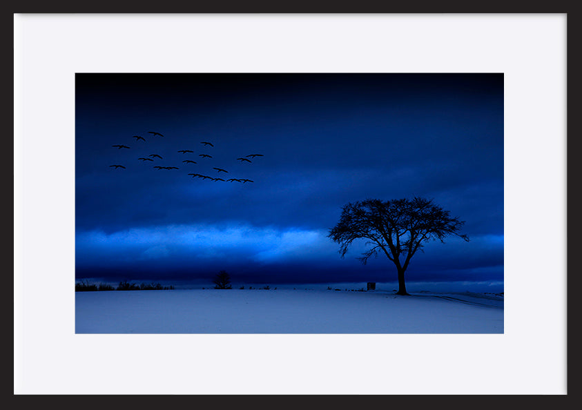 paper_frame