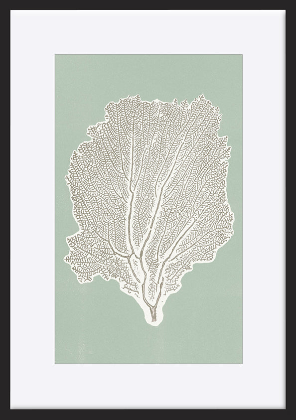 paper_frame