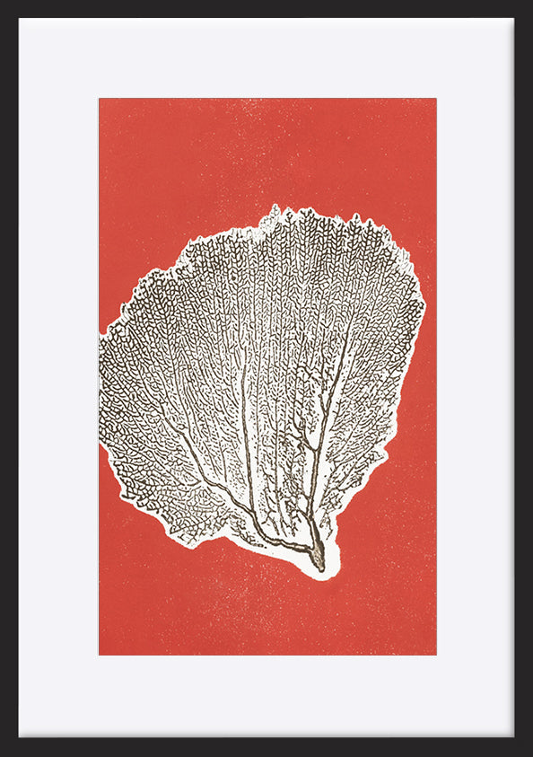 paper_frame