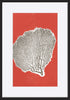 paper_frame
