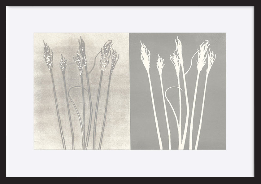 paper_frame