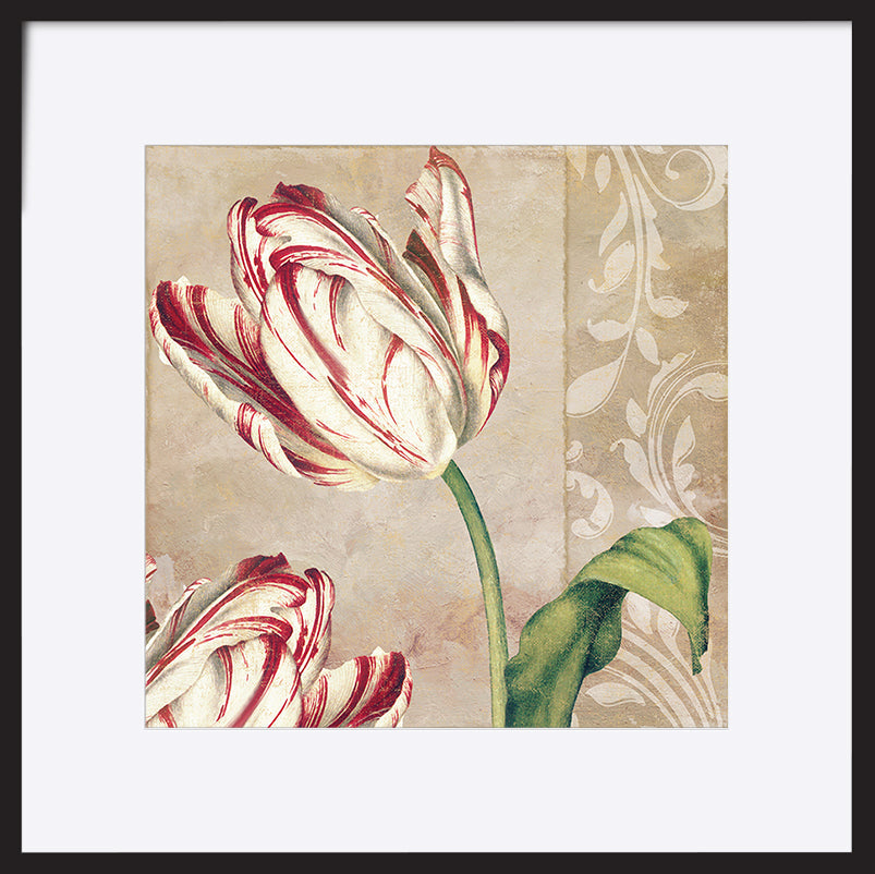 paper_frame