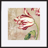 paper_frame