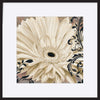 paper_frame