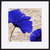 paper_frame