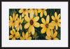 paper_frame