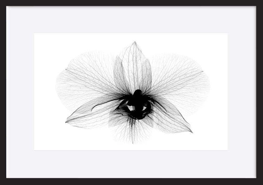 paper_frame