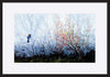 paper_frame