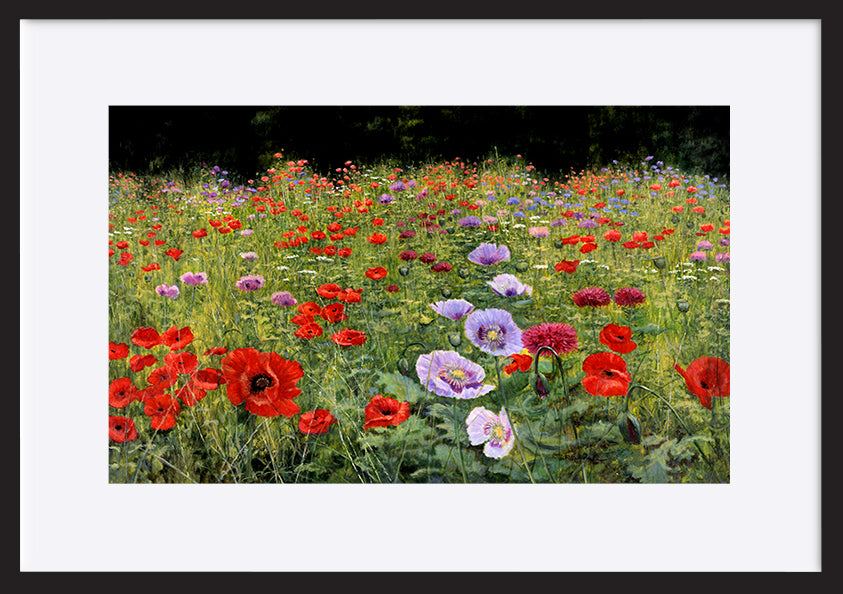 paper_frame