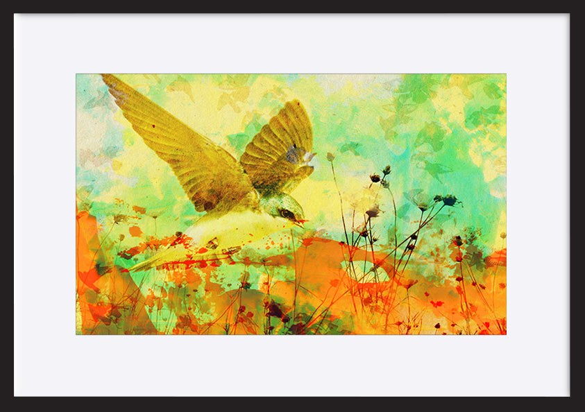 paper_frame