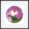 paper_frame