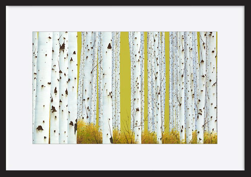 paper_frame