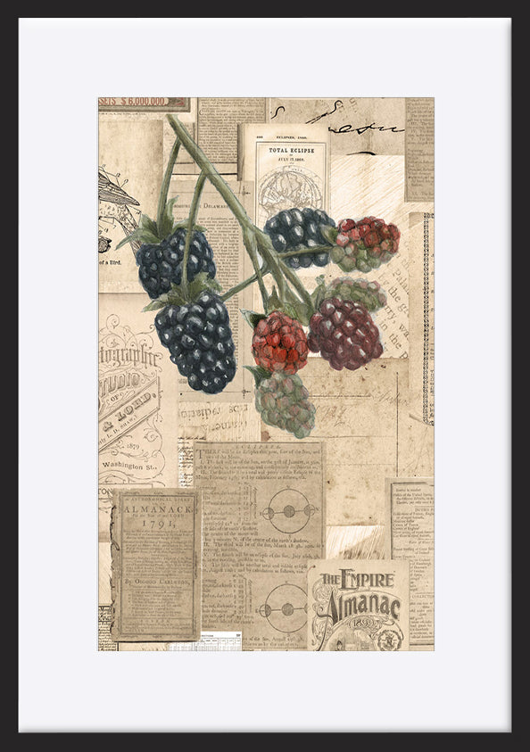paper_frame