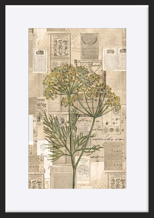 paper_frame