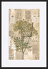 paper_frame