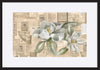 paper_frame