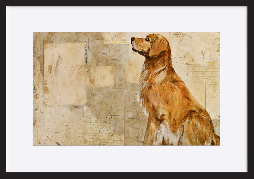 paper_frame