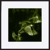 paper_frame