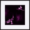 paper_frame