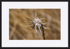 paper_frame