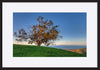 paper_frame