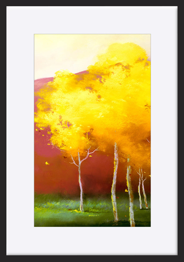 paper_frame