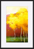 paper_frame