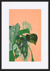 paper_frame