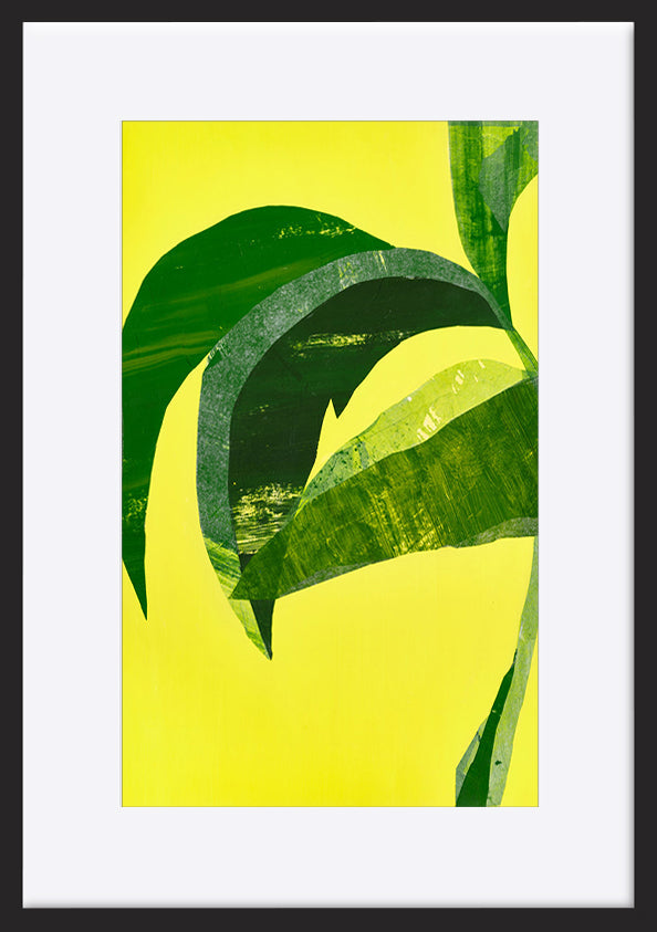 paper_frame
