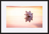 paper_frame
