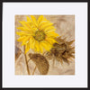 paper_frame
