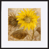 paper_frame