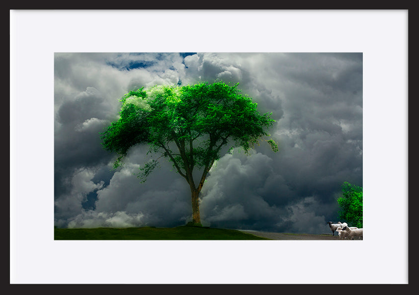 paper_frame