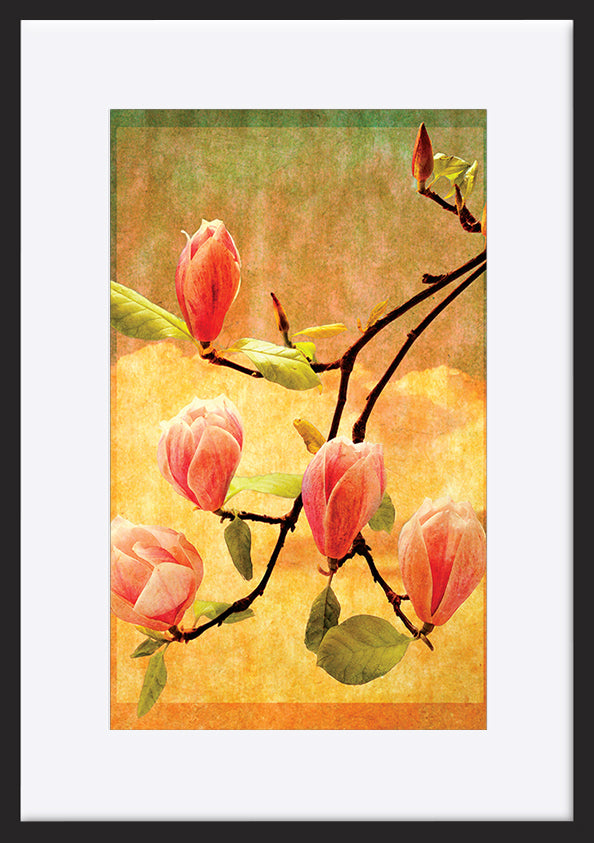 paper_frame