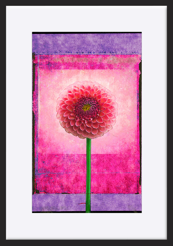paper_frame