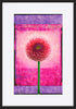 paper_frame