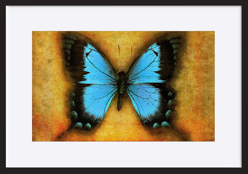 paper_frame