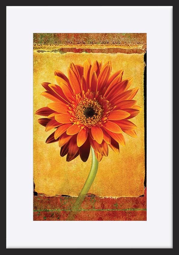 paper_frame