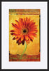 paper_frame
